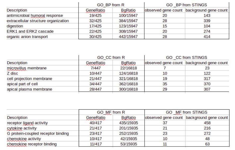 GEO数据挖掘流程+STRING VS R in KEGG/GO