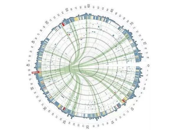 QGIS+GH玩转·数据分析图！