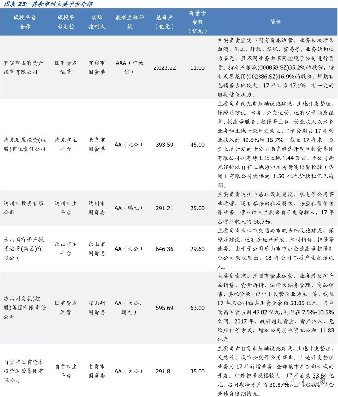 四川省116个城投平台详尽数据挖掘