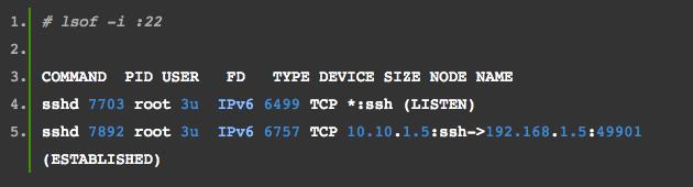 Linux 命令神器：lsof 入门