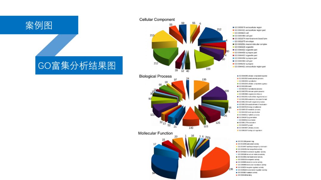 高通量数据挖掘与分析应该怎么学？