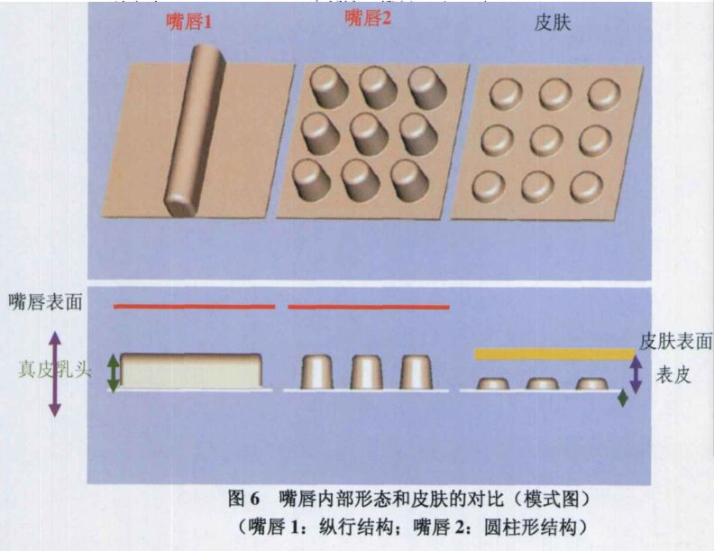 被亲妈坑？Talor Swift未经允许曝光的真素颜震撼我全家...