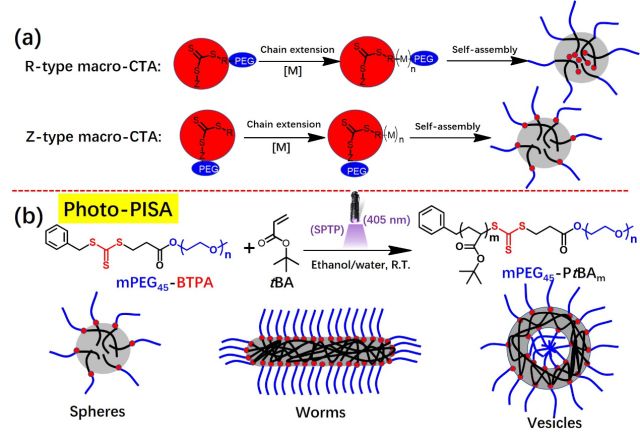 广东工业大学谭剑波副教授、张力教授团队：基于Z型大分子RAFT试剂的可见光引发聚合诱导自组装（photo-PISA）