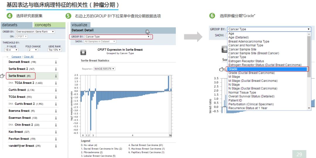 学好Oncomine，触摸肿瘤数据挖掘