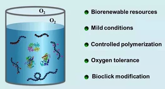 上海大学安泽胜教授系统评述：酶催化引发RAFT聚合及其功能化：一种合成精密聚合物的可持续发展策略