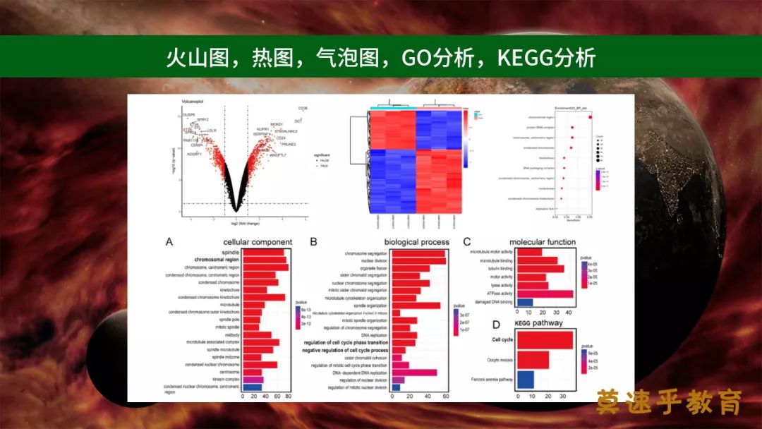 我们也要开班讲临床医生的数据挖掘了（R,GEO,TCGA）。