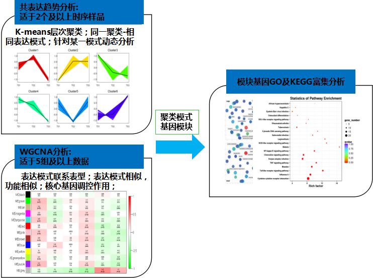 【干货分享】转录组测序数据挖掘思路&分析方法大放送