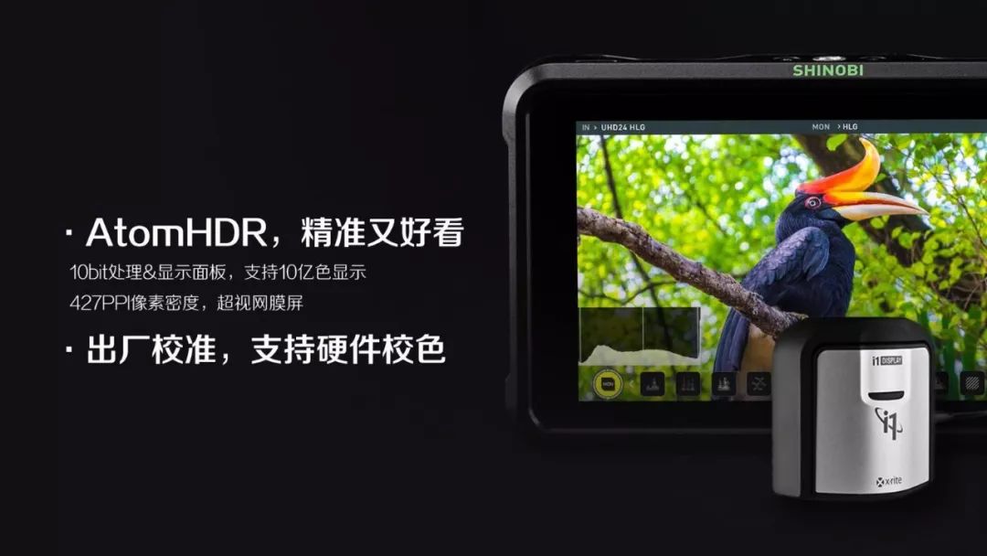 Atomos Shinobi 隐刃—全新5寸AtomHDR监视器登场