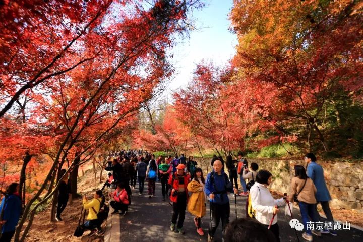 Qixia, the ruby bejeweled in Nanjing city