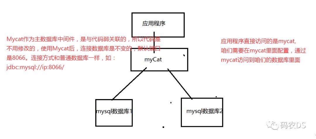 MyCat使用