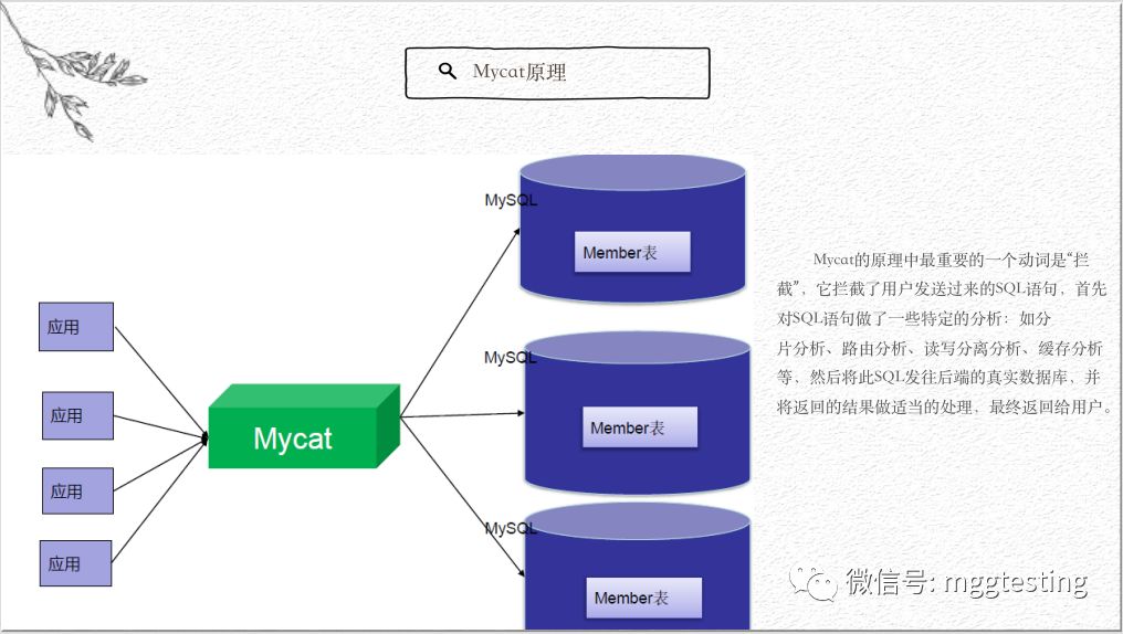 【享】MyCat的一些事