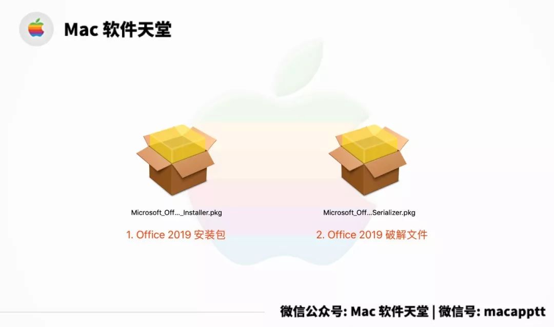 Mac 软件天堂 | Microsoft Office 2019 for Mac 版