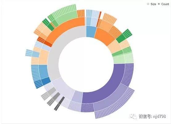 【NJD798】第31期：经典案例丨数据可视化之美实践解析