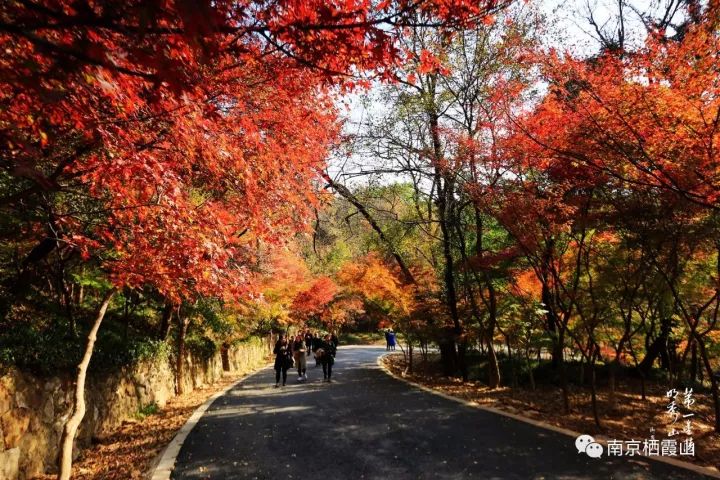 Qixia, the ruby bejeweled in Nanjing city