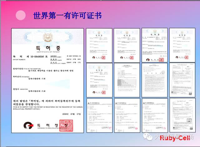 韩国美容Ruby-cell干细胞荣耀登陆中国及产品详情