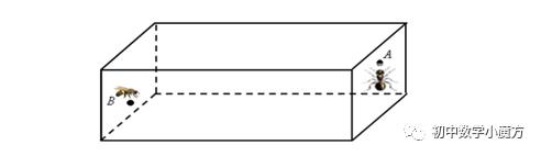 蚂蚁很忙——几何体中的最短路径（一）