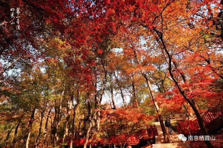 Qixia, the ruby bejeweled in Nanjing city