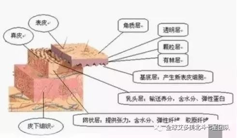 艾多美洗面奶atom美atomy泡沫美白洗面奶杀死螨虫清洁皮肤Foam Cleansing