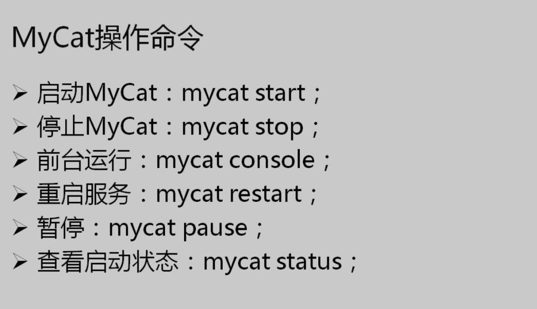 MyCat 基本配置