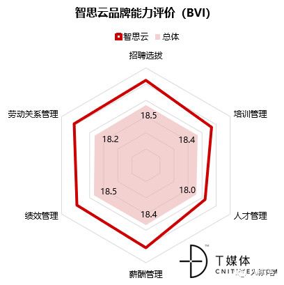 SaaS HR代表厂商阶梯式竞争格局解析