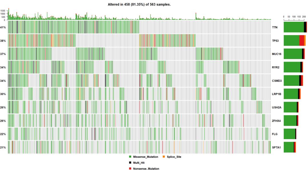 TCGA突变数据可视化