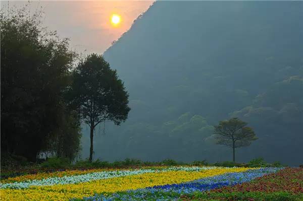 5 spots to celebrate spring near Guangzhou