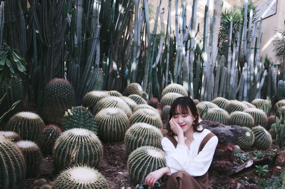 Spring～想跑进植物风情馆里撒欢儿！