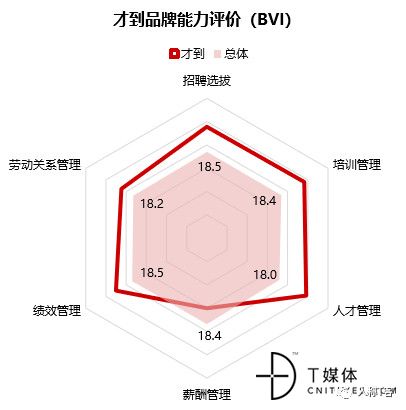 SaaS HR代表厂商阶梯式竞争格局解析