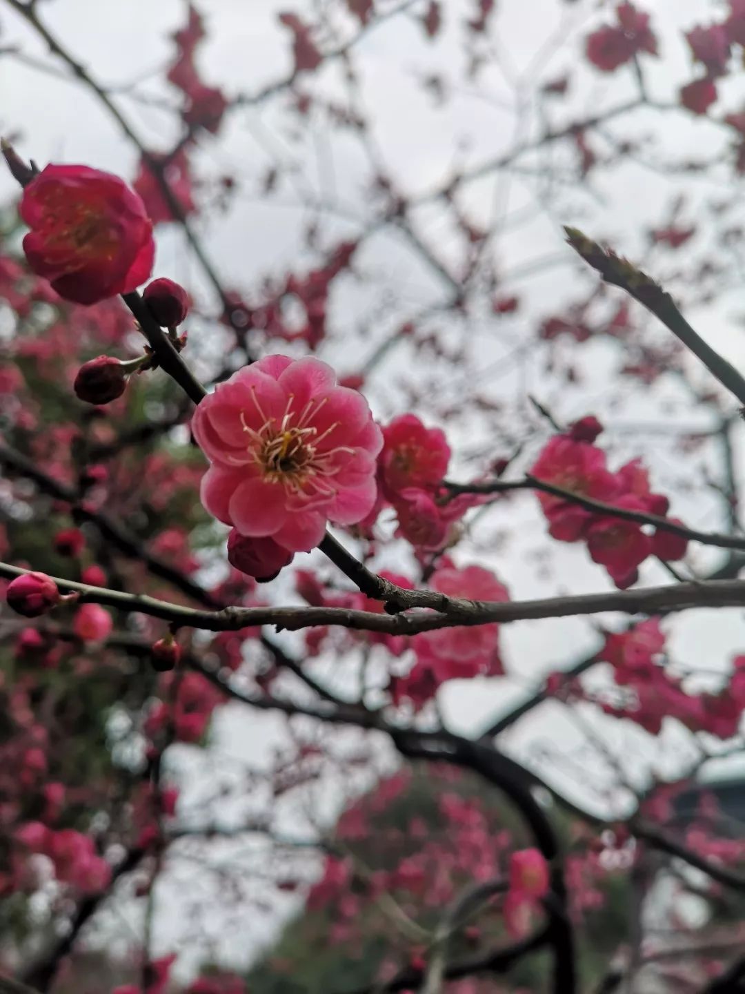 Spring | 生活明朗，万物可爱