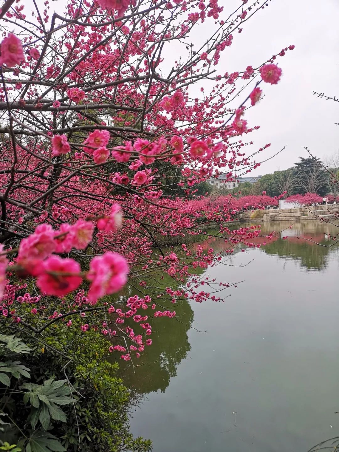 Spring | 生活明朗，万物可爱