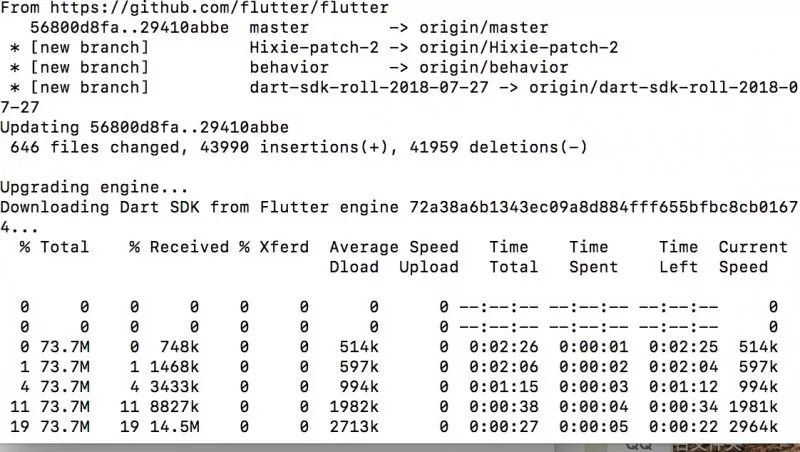 技术分享 | Flutter一个你从未玩过的船新版本