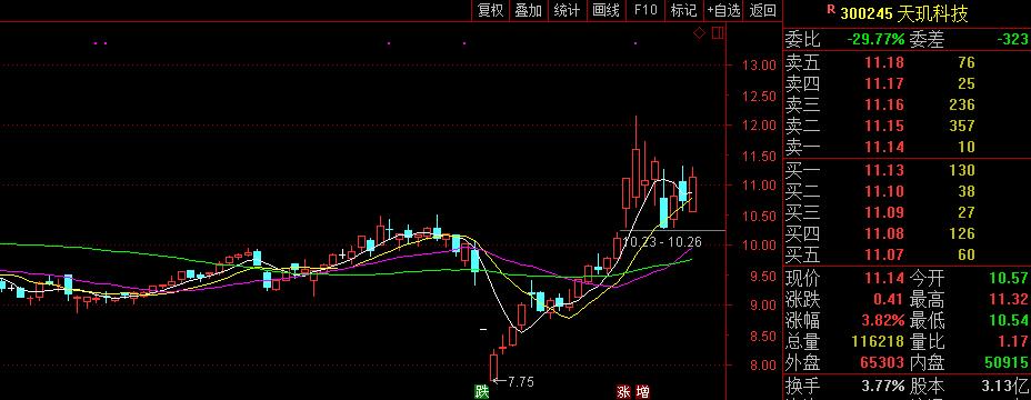 午后低吸一只软件+云计算概念（20/03/04）