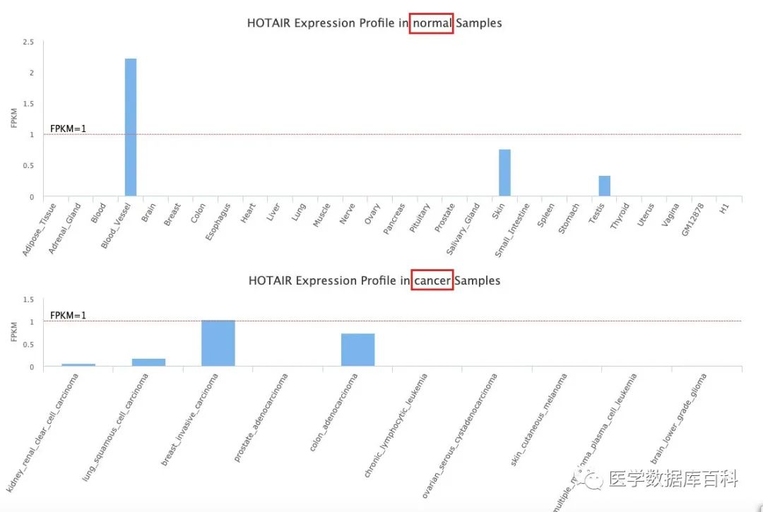 一站式 lncRNA 查询数据库