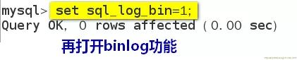 DBA 必知的 MYSQL 备份与还原方法