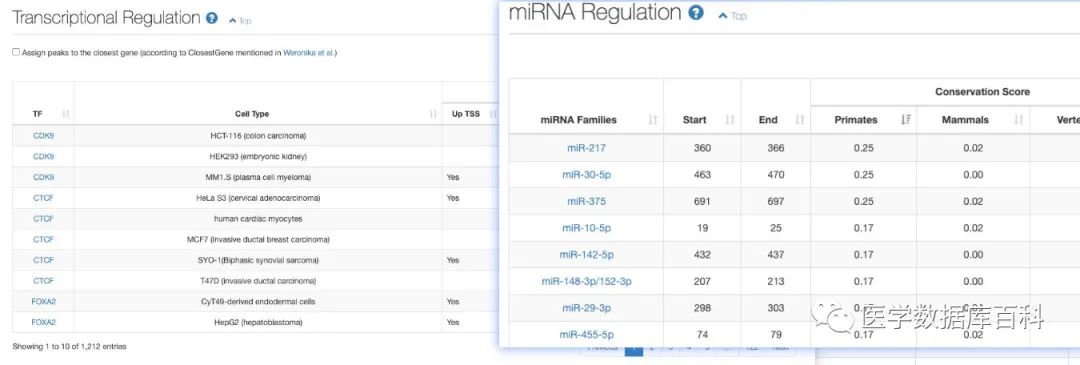 一站式 lncRNA 查询数据库