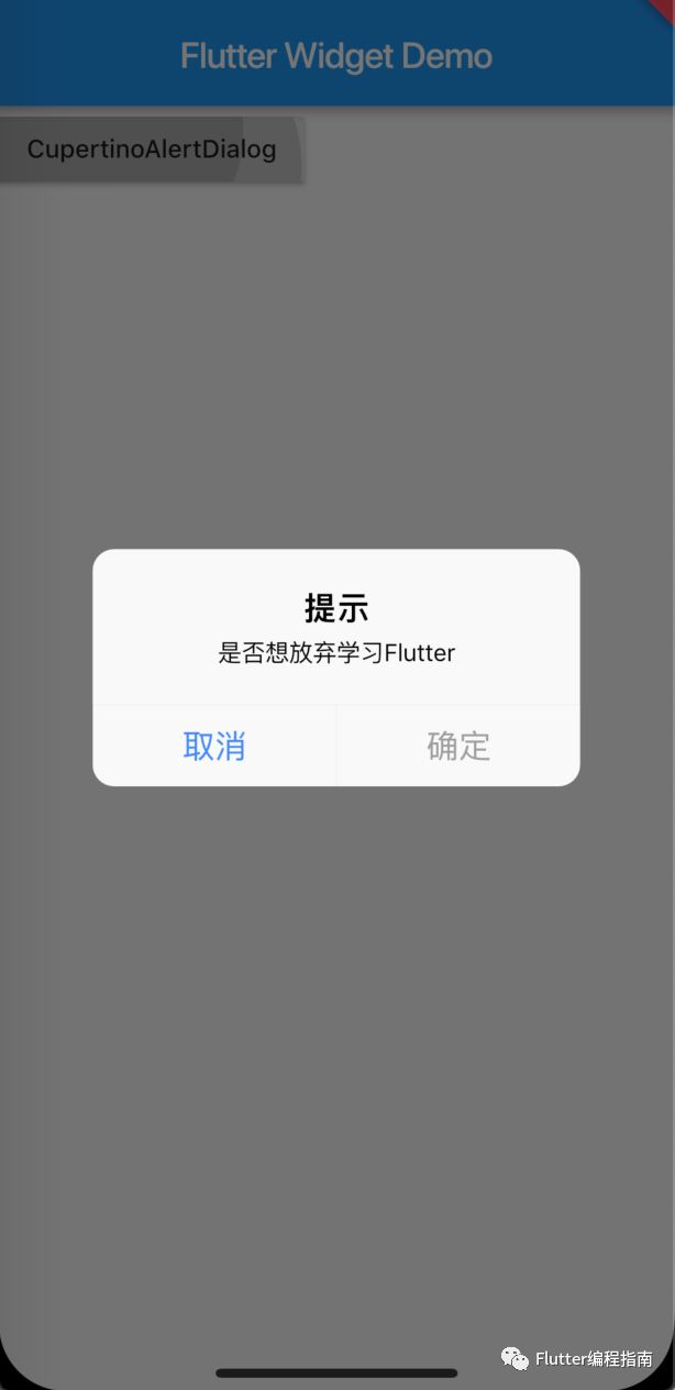 Flutter常用Widget详解（二）