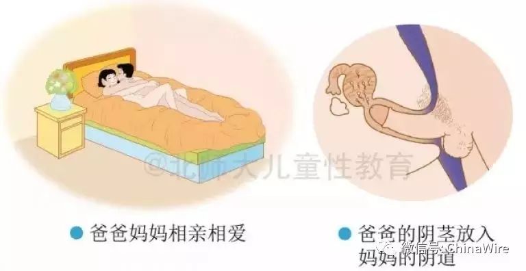 Graphic Kids Sex Education Book Divides Opinion in China