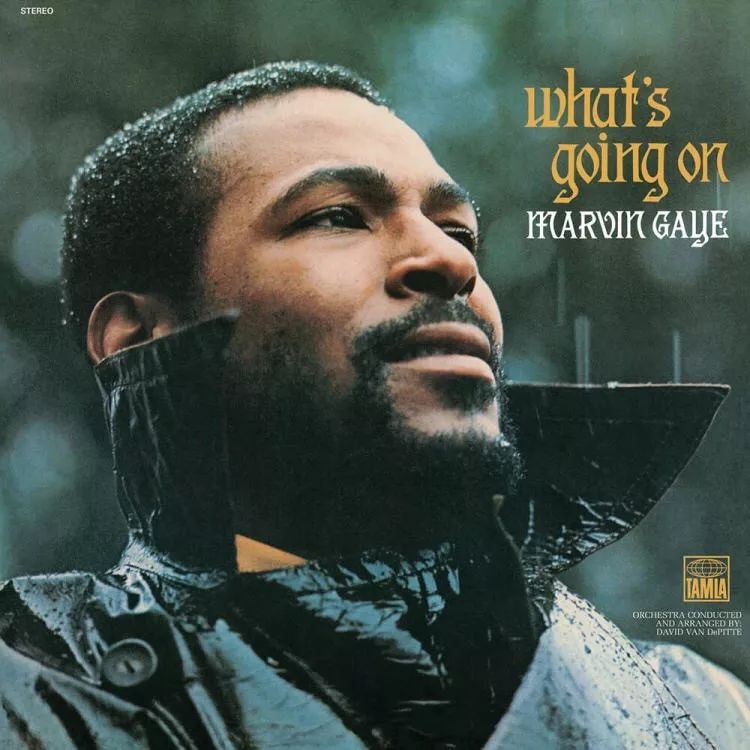 有了 Marvin Gaye 联名，你还要啥自行车？