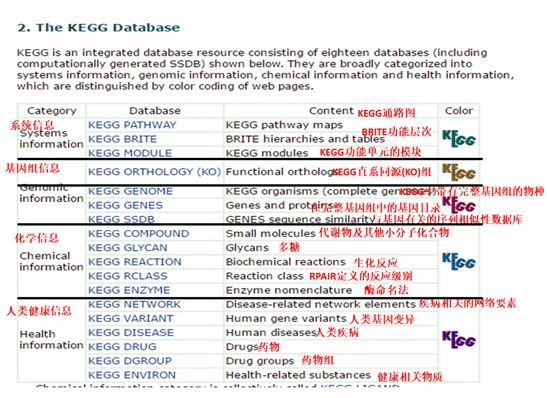 如何运用KEGG数据库查询信号通路（入门版）