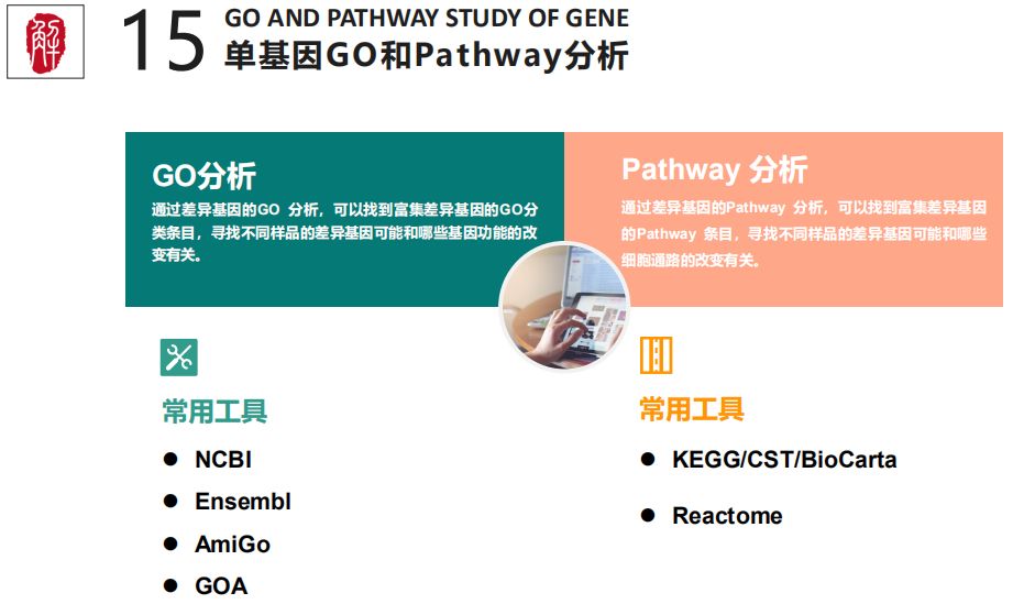 老谈教你如何利用数据库查询lncRNA信息