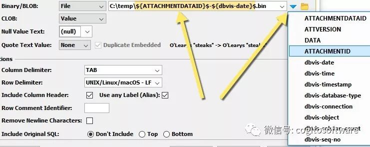 DbVisualizer：开发人员、DBA和分析师的通用数据库工具！