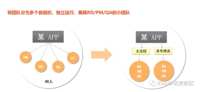 DBA学员参讲 - 人才管理组织能力提升