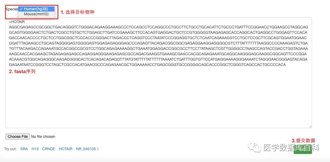 一站式 lncRNA 查询数据库