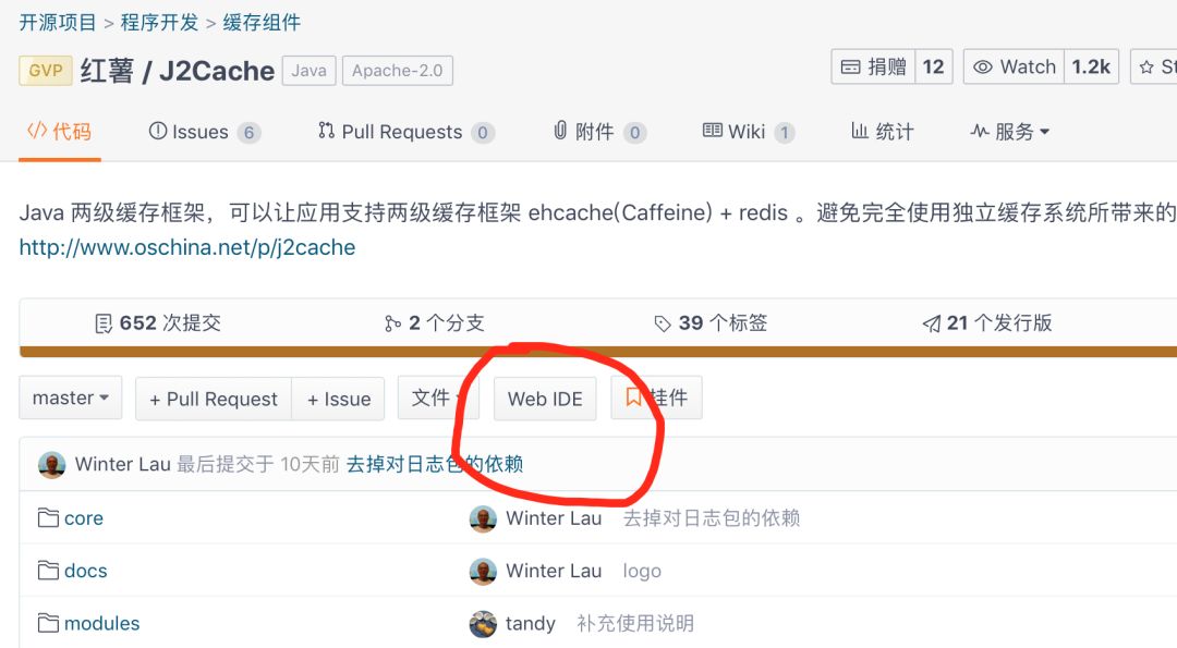 码云超轻量级 Web IDE 已为您准备就绪，极速开启