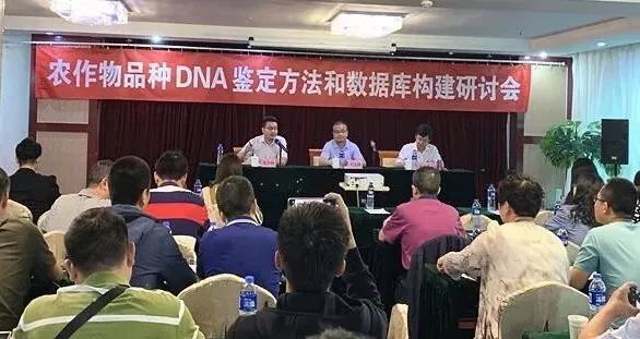 【聚焦】农作物品种DNA鉴定和数据库建立，要以解决品种真实性问题为核心！