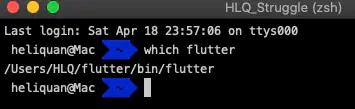 Flutter ｜macOS 下载安装配置