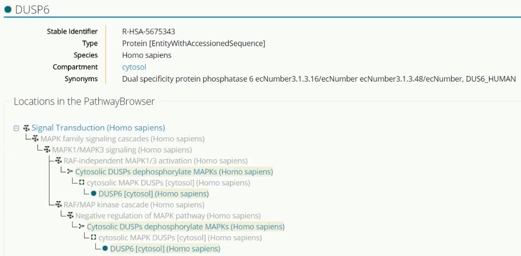 独家秘诀|数据库查询lncRNA，我只告诉你一个人