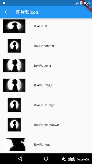 flutter零基础入门(1+1)Image组件和icon组件