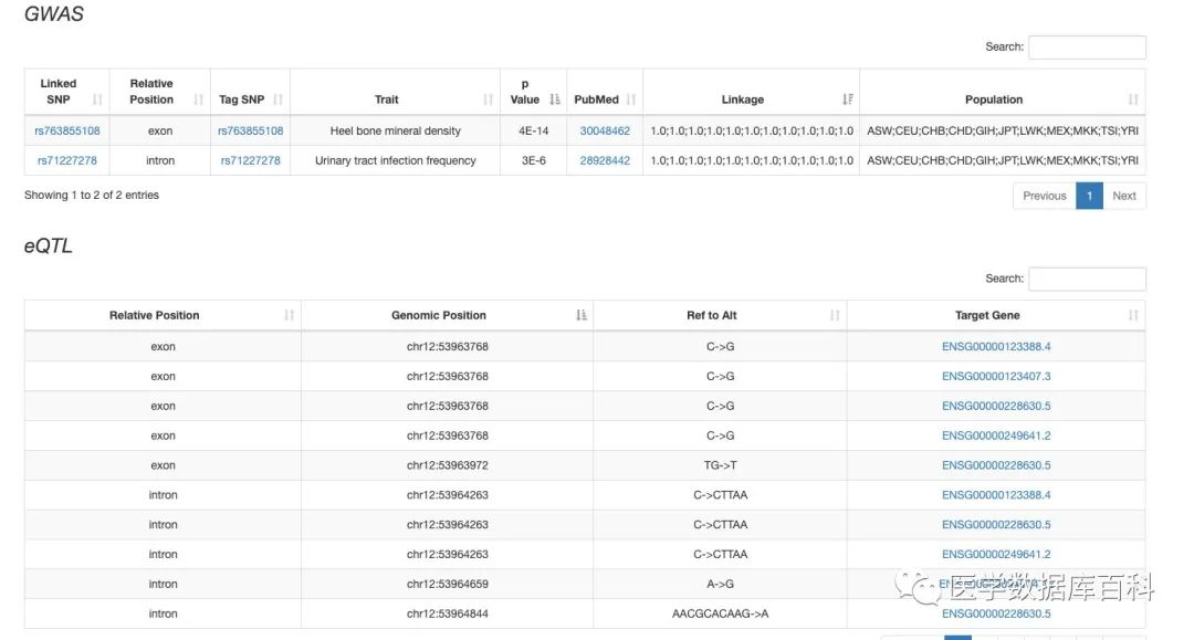 一站式 lncRNA 查询数据库