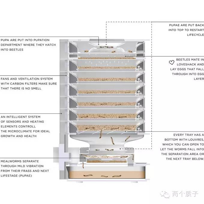 超级重口味！饲养虫子的生态农场Hive，养来干嘛？吃啊！